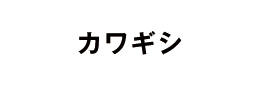 カワギシ